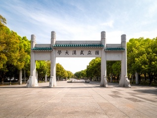 ⭐哪里卖
QQ注册号
有哪些在线购买平台