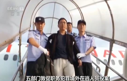 ⭐稳定包售后的
TK广告账号
去哪买支持刷脸换绑的